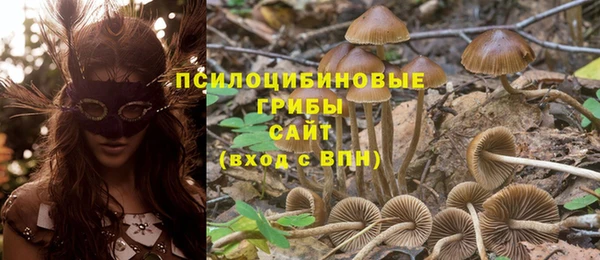 скорость Белокуриха