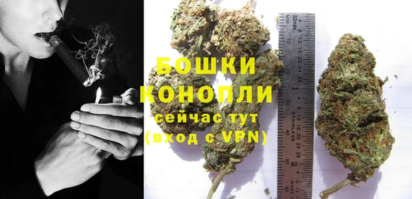 ПСИЛОЦИБИНОВЫЕ ГРИБЫ Богородицк