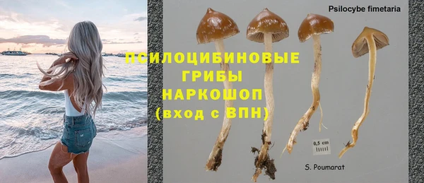 скорость Белокуриха